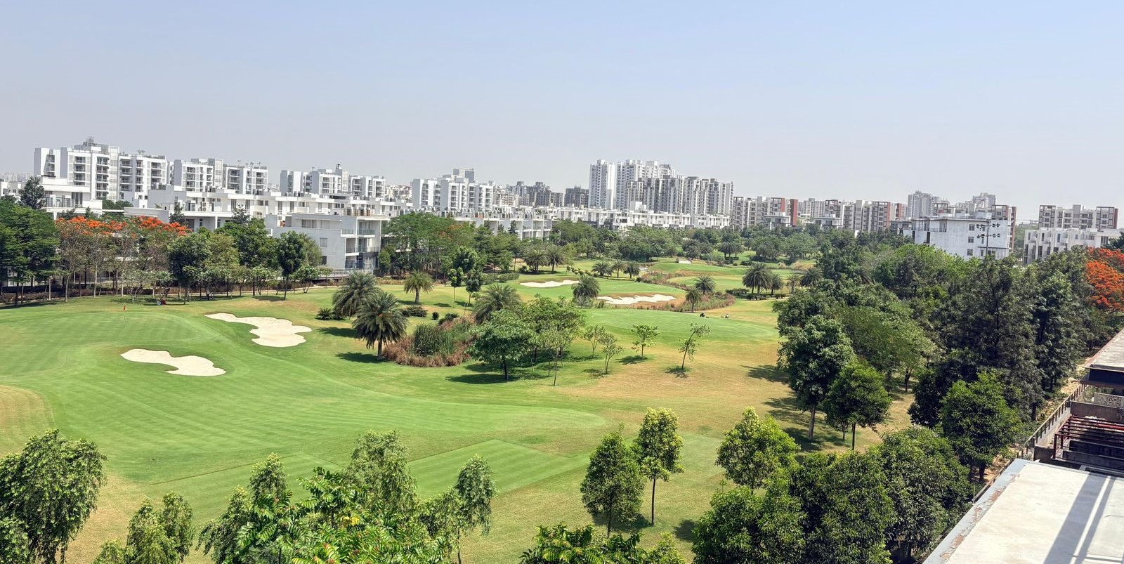 banner_bg